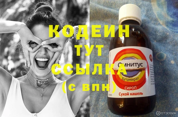 мдпв Пересвет
