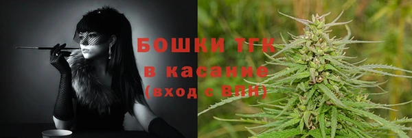 мдпв Пересвет