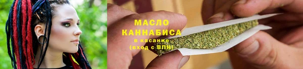 мдпв Пересвет