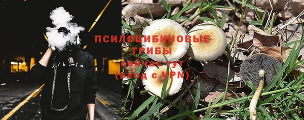 мдпв Пересвет