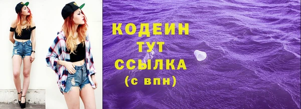 дживик Переславль-Залесский