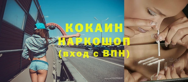 мдпв Пересвет