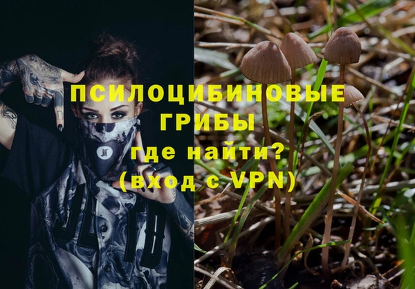 мдпв Пересвет