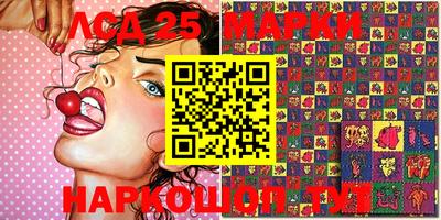 гидропоника Балашиха