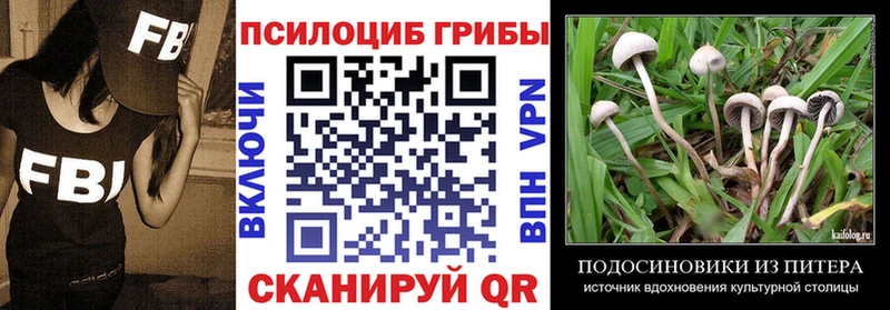 кракен маркетплейс Балаково Галлюциногенные грибы Psilocybine cubensis