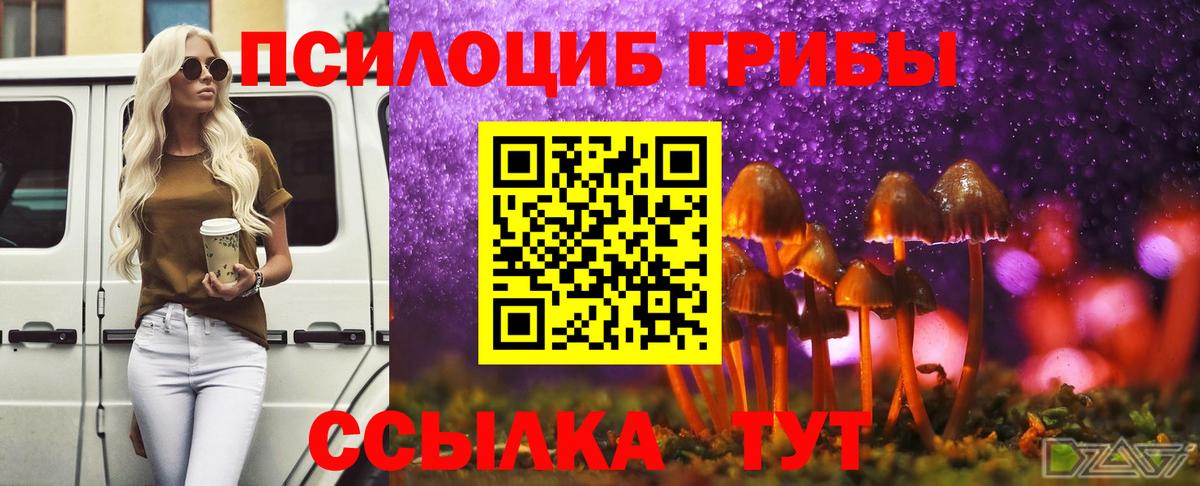 Галлюциногенные грибы мицелий Балаково