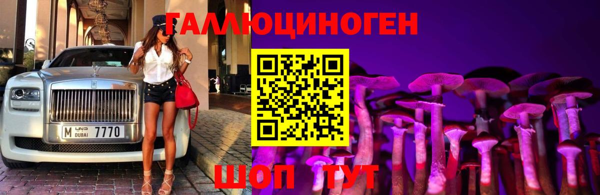 Псилоцибиновые грибы GOLDEN TEACHER  Вход с VPN  наркотики  Балаково 