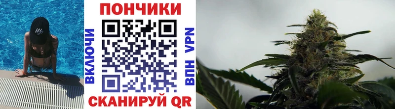 закладки  Балаково  Бошки Шишки план 